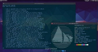 Solus users receive linux kernel 4 8 10 and vivaldi 1 5 qownnotes lands as well