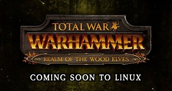 Total war warhammer realm of the wood elves dlc lands for linux on christmas