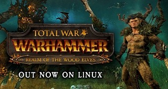 Total war warhammer realm of the wood elves dlc out now on linux and steamos
