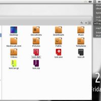 CobiBird-Theme-Install