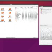 Nemo file manager options