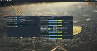 Solus to move to gnome 3 22 stack soon adopt linux 4 9 and bulletproof updates