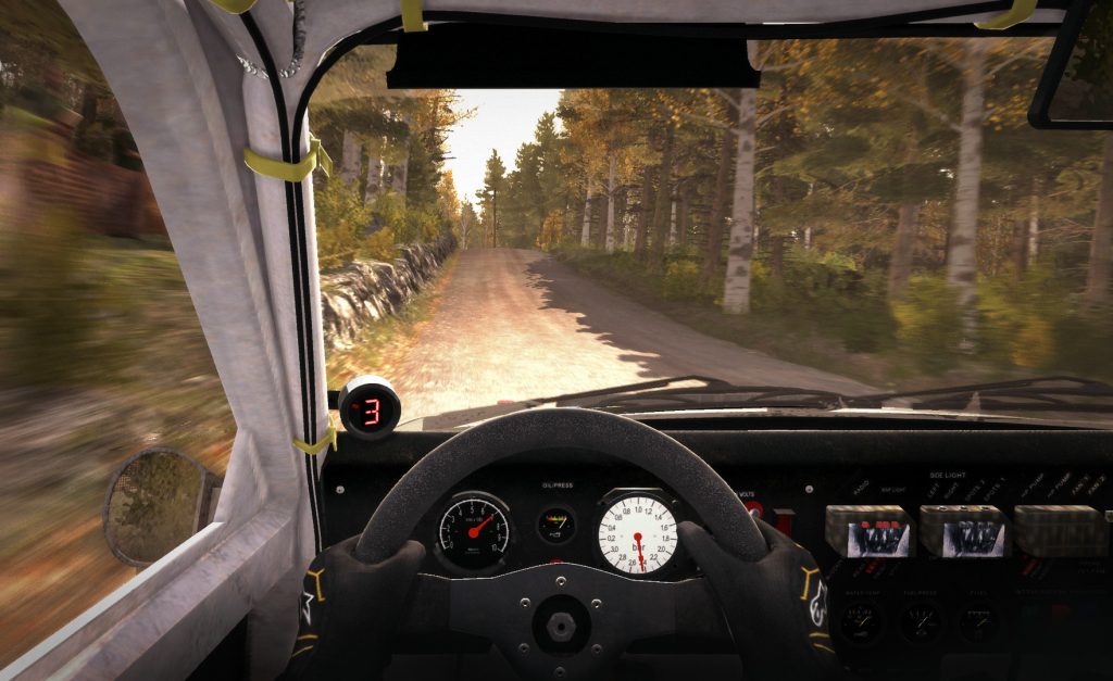 Dirt rally game interior