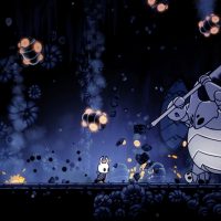 Hollow knight game fight