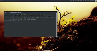 Canonical readies mesa 17 1 0 for ubuntu 16 04 and 17 04 here s how to install