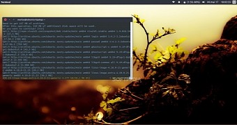 Ubuntu 17 04 zesty zapus receives first kernel security patch update now