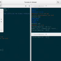 Terminix settings