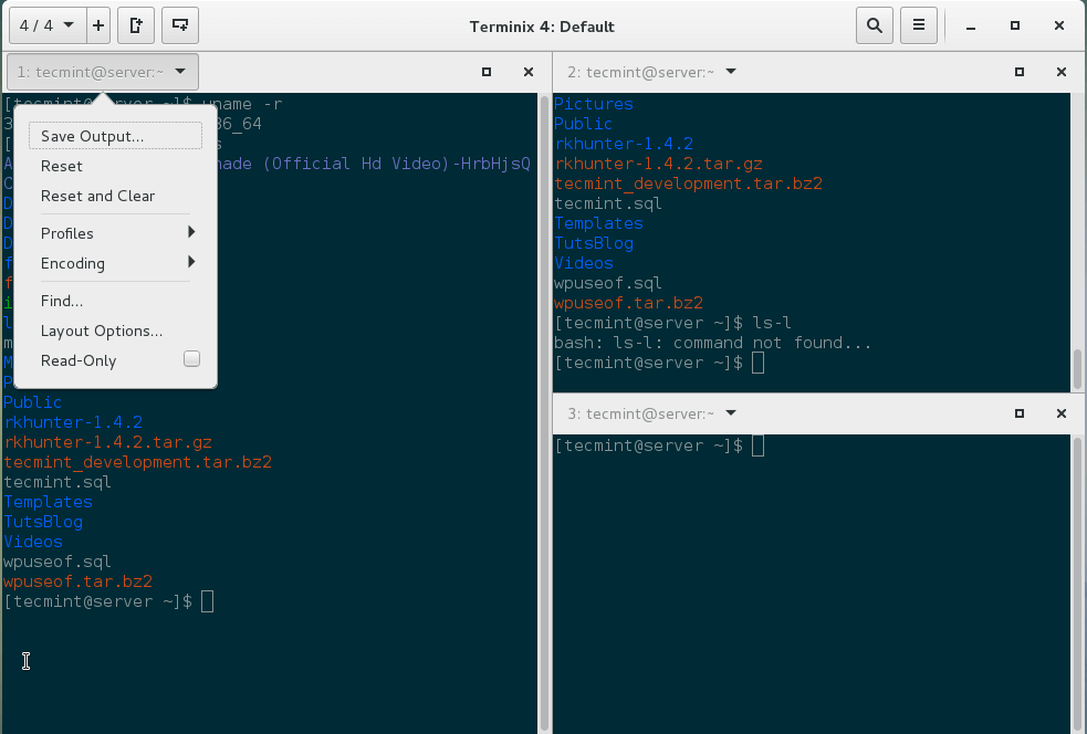 Terminix settings