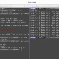 Running commands
