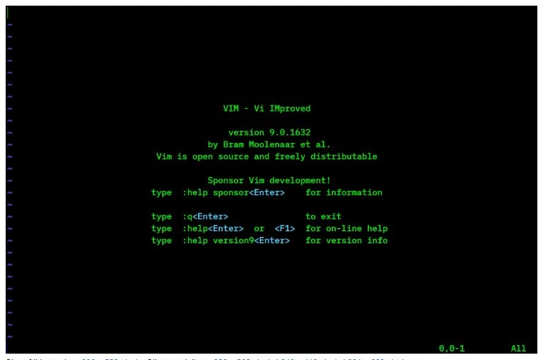 Best code editors ubuntu vim screenshot - Top 5 Code Editors on Ubuntu 24.04