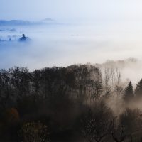 Forest-Bridge-background