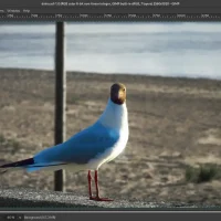 Edit xcf image