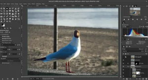Edit xcf image - How to Install GIMP on Ubuntu 26.04 - Complete Guide