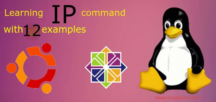Ip command examples linux