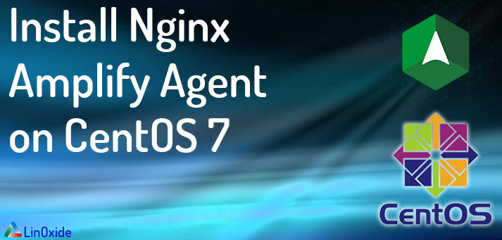 Install nginx amplify agent