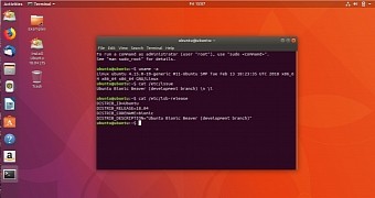 Ubuntu 18 04 lts bionic beaver daily builds now fuelled by linux kernel 4 15