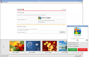 Anydesk on linux distro