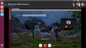 Ubuntu 1804 skype preview