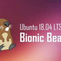 Ubuntu-bionic-beaver-official-logo-2018