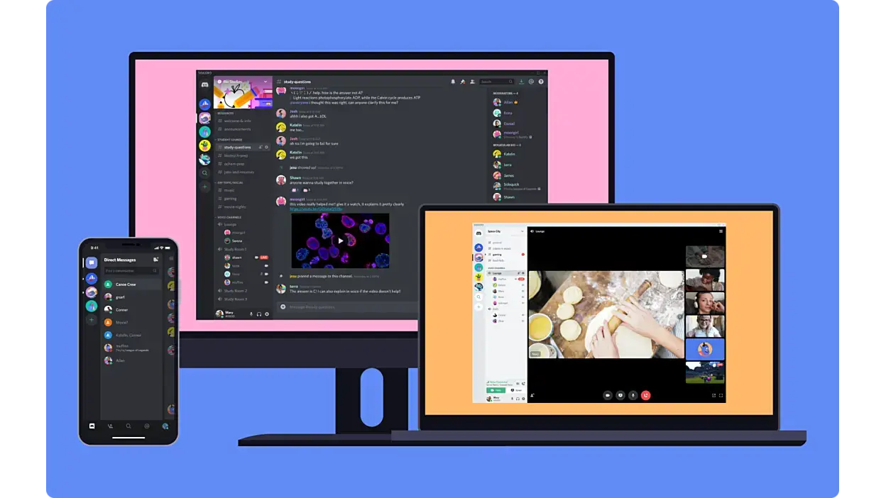 Discord on ubuntu snap store screenshot 3 - Discord on Ubuntu 24.04: Install Guide