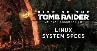 Here are the system requirements for playing rise of the tomb raider on linux