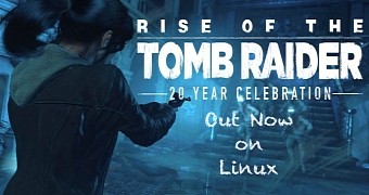 Rise of the tomb raider 20 year celebration is out now on linux