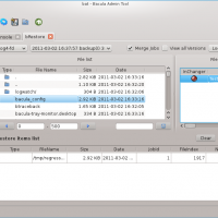 Bacula-backup-software-screenshot
