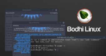 Bodhi linux 5 0 enters development based on ubuntu 18 04 lts first alpha is out 521219