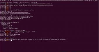 Canonical outs new linux kernel live patch for ubuntu 18.04 lts and 16.04 lts
