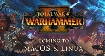 Here039s what you need to play total war warhammer ii on linux and macos