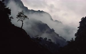 Sierra nevada mountain background