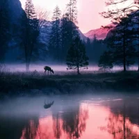 Reindeer mountain wallpaper ubuntu logo - 27 Mountain Ubuntu Wallpapers in HD and 4K