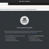 Chromium-Incognito-mode