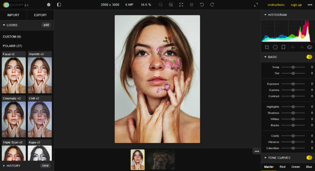 Polarr image editor screenshot