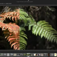 Best photo editors ubuntu darktable screenshot