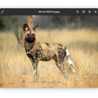 Best photo editors ubuntu loupe screenshot