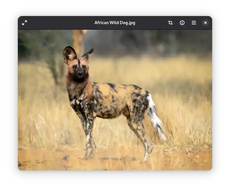 Loupe image viewer screenshot on Ubuntu