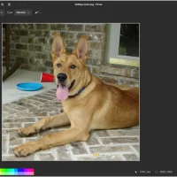Best photo editors ubuntu pinta screenshot