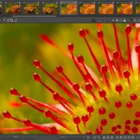 Best photo editors ubuntu rawtherapee screenshot