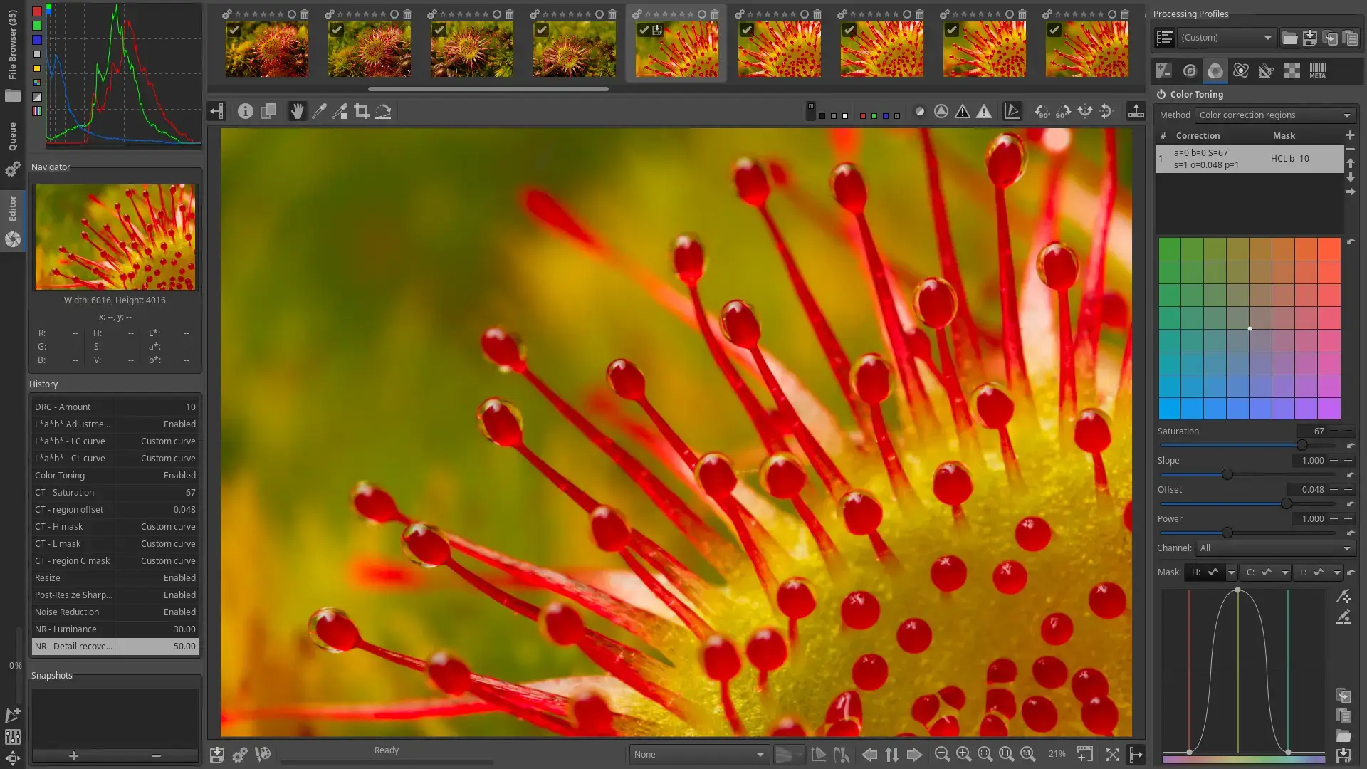 RawTherapee RAW photo editor screenshot on Ubuntu