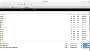 Remmina screenshot file server - How to Install Remmina on Ubuntu 26.04 - Complete Guide