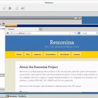 Remmina screenshot old windows