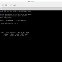 Remmina screenshot setting up mail server