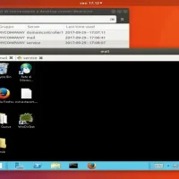Remmina screenshot windows 7