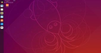 Ubuntu 19.04 disco dingo enters feature freeze beta available march