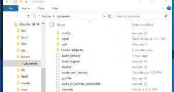 Windows 10 will let you access linux files using file