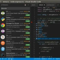 Screenshot of extensions on ubuntu vscode