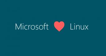 Microsoft edge for linux a browser the software giant “would