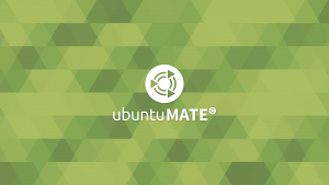 Default Ubuntu MATE 18.04 Wallpaper