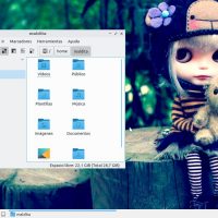 Lubuntu 1804 folder icons